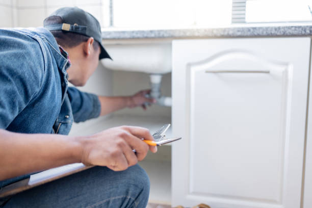 Best Local Plumber Services  in Port Byron, NY